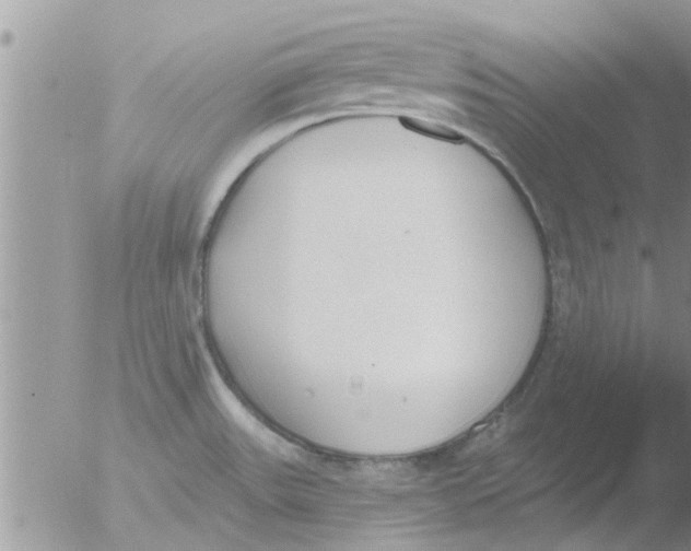 X0000051921531200507152044