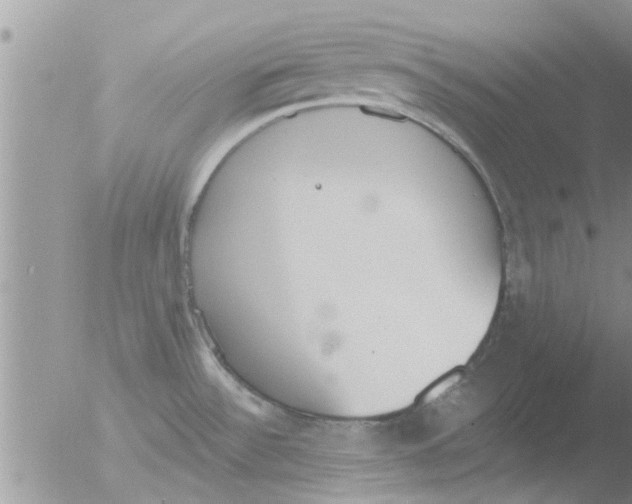 X0000051921532200507152044