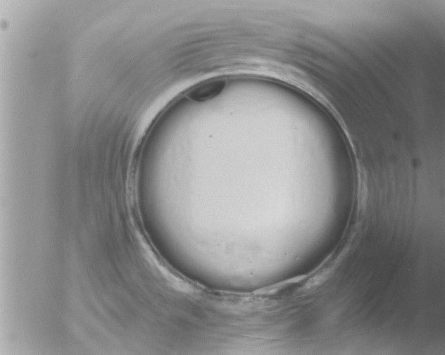 X0000051921533200507152044