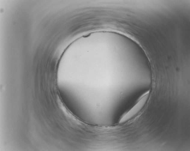 X0000051921534200507152044