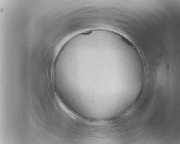 X0000051921535200507152044