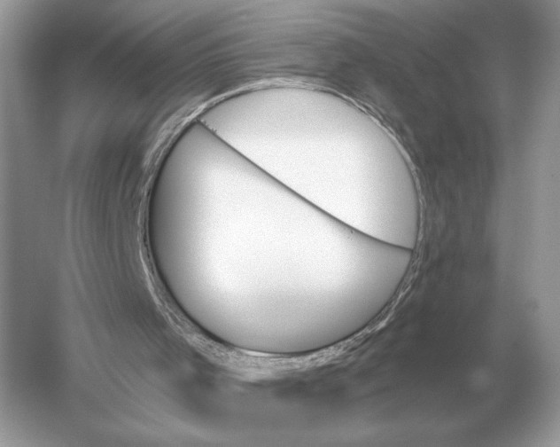 X0000051920001200507222146