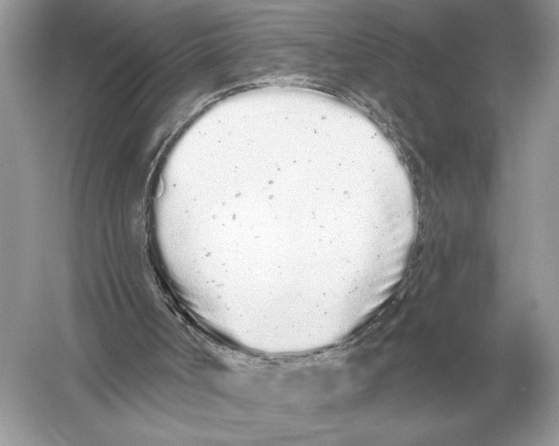 X0000051920002200507222146