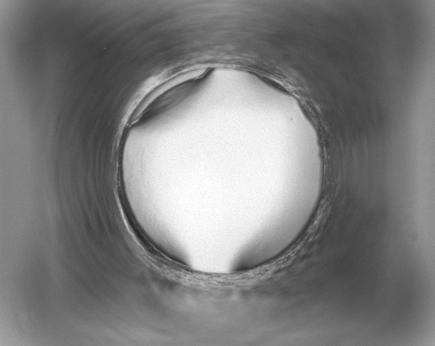 X0000051920003200507222146