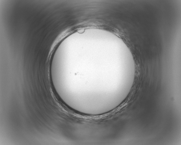 X0000051920004200507222146