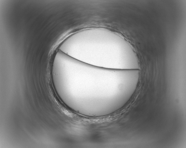 X0000051920005200507222146