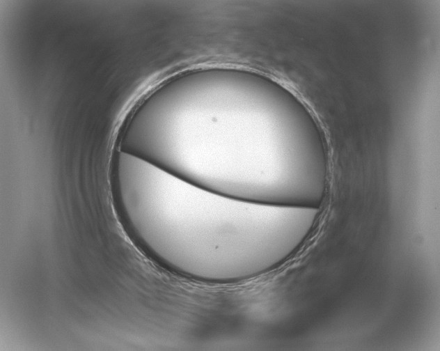 X0000051920007200507222146