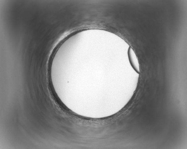 X0000051920008200507222146