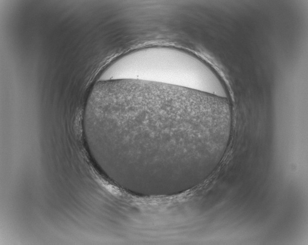 X0000051920009200507222146