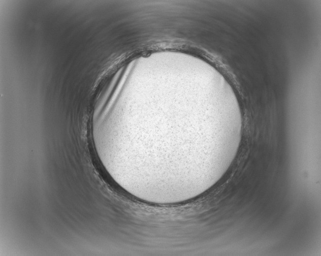 X0000051920010200507222146