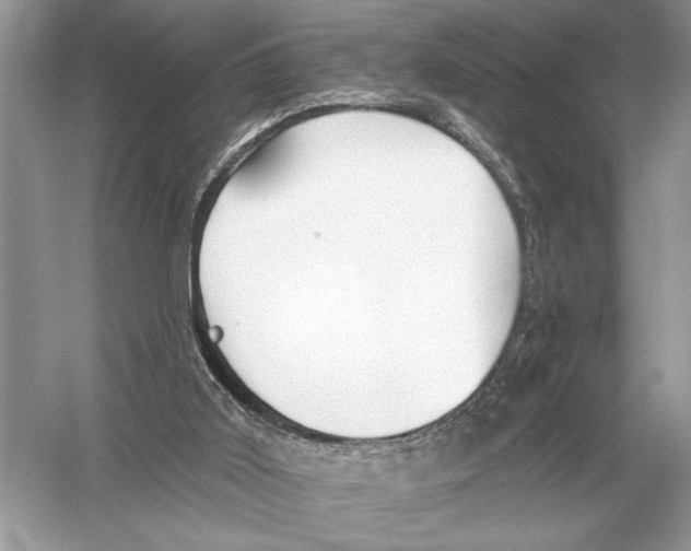 X0000051920011200507222146