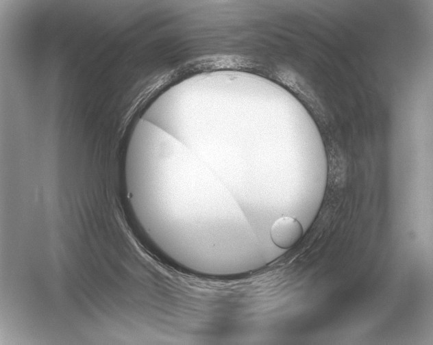 X0000051920014200507222146