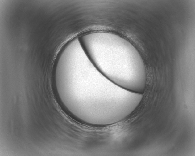 X0000051920015200507222146