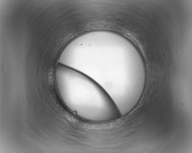 X0000051920017200507222146