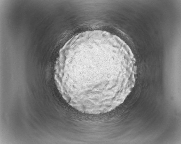 X0000051920018200507222146