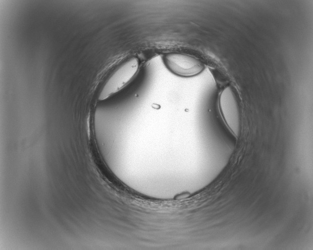 X0000051920019200507222146