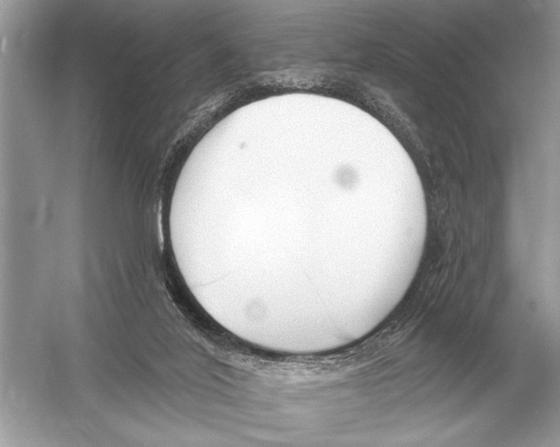 X0000051920020200507222146