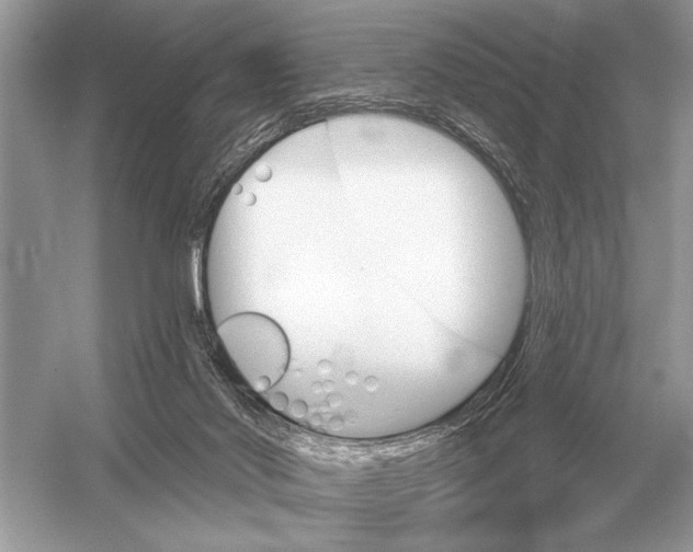 X0000051920022200507222146