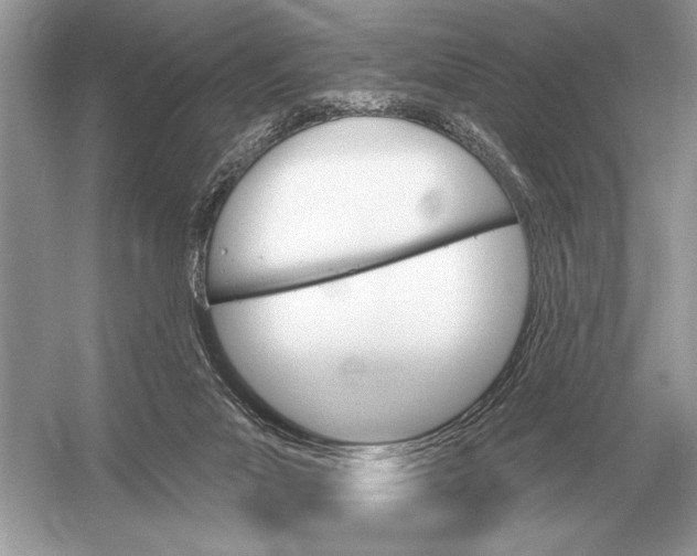 X0000051920023200507222146