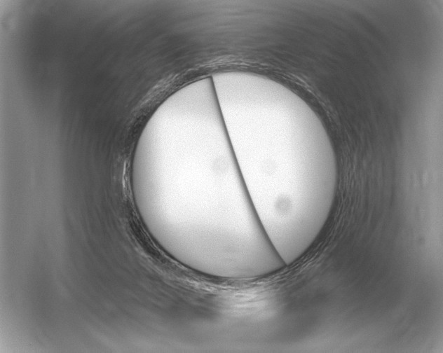 X0000051920024200507222146