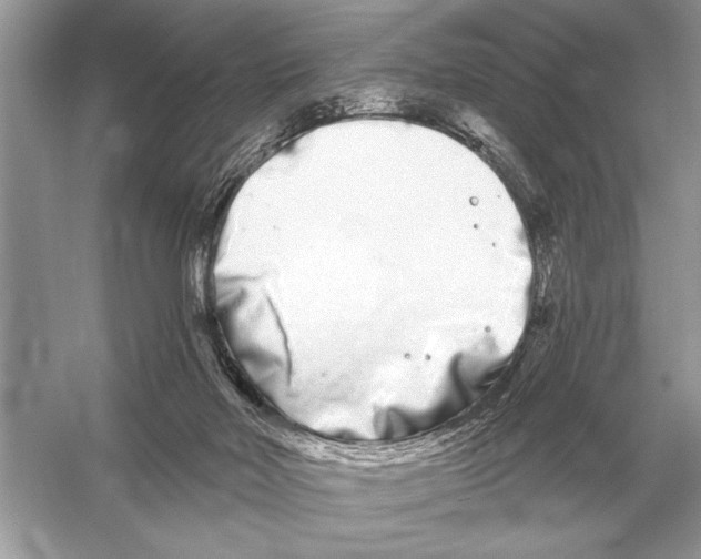 X0000051920026200507222146