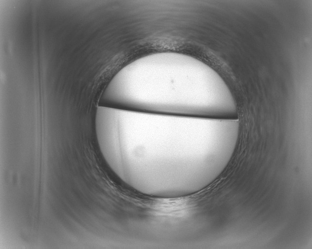 X0000051920027200507222146