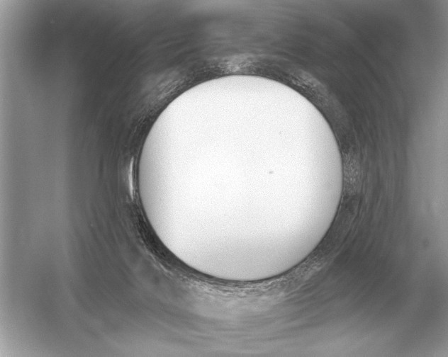 X0000051920028200507222146