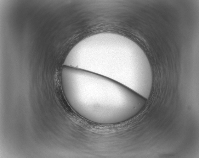 X0000051920029200507222146