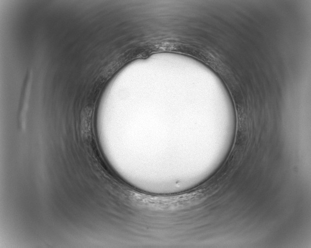 X0000051920030200507222146