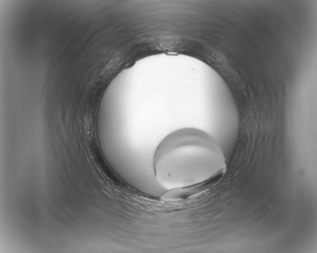 X0000051920031200507222146