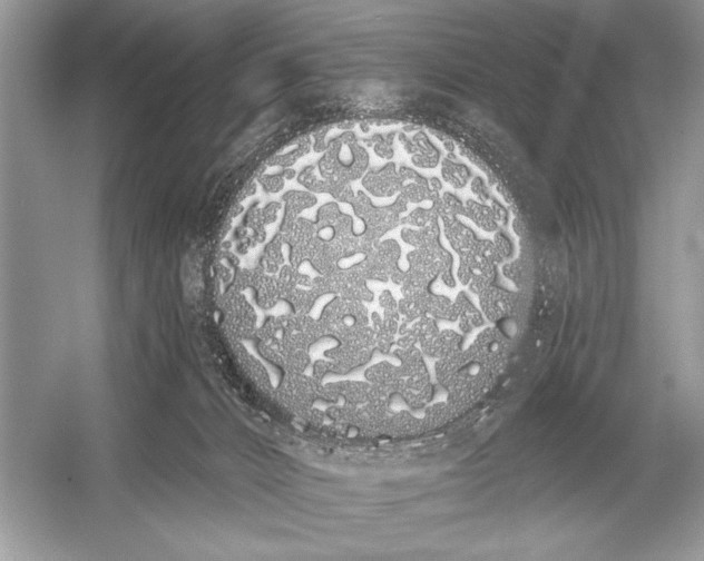 X0000051920032200507222146