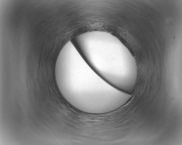 X0000051920033200507222146