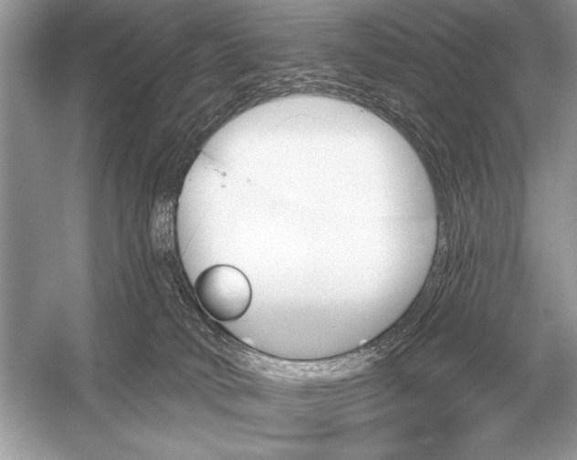 X0000051920034200507222146