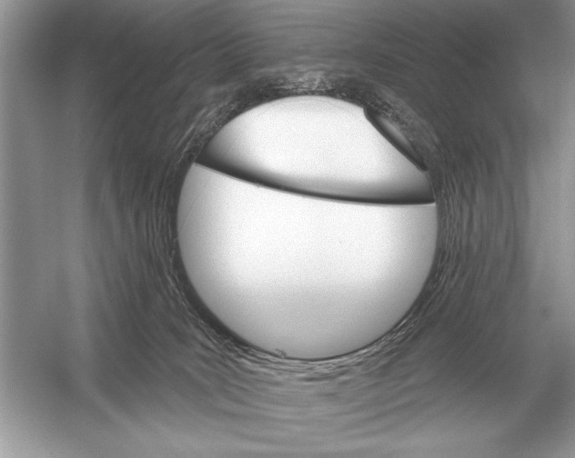 X0000051920035200507222146