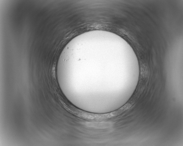 X0000051920036200507222146