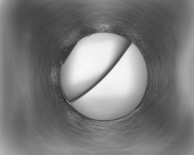 X0000051920037200507222146