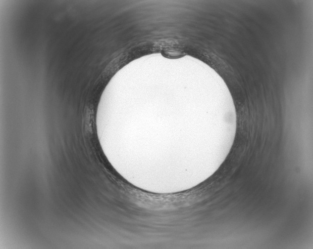 X0000051920038200507222146