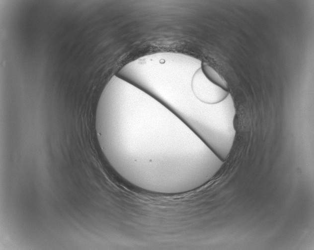 X0000051920040200507222146