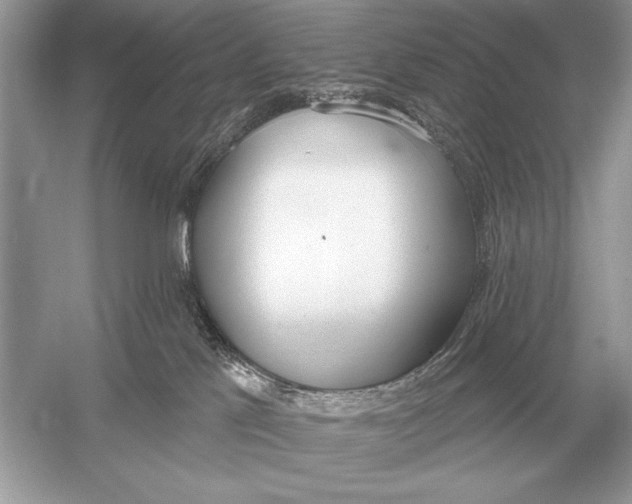 X0000051920041200507222146