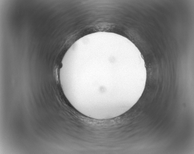 X0000051920042200507222146