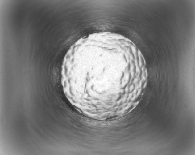 X0000051920043200507222146