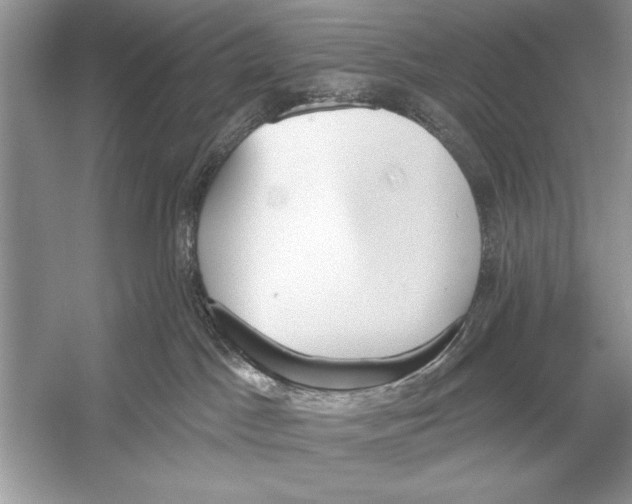 X0000051920045200507222146