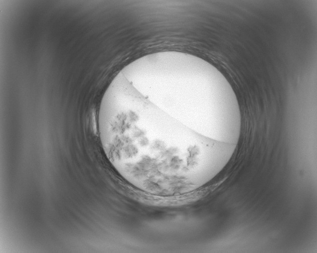 X0000051920046200507222146