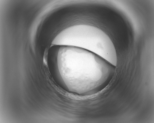 X0000051920047200507222146