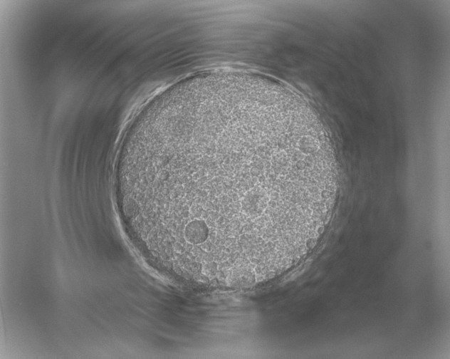 X0000051920049200507222145