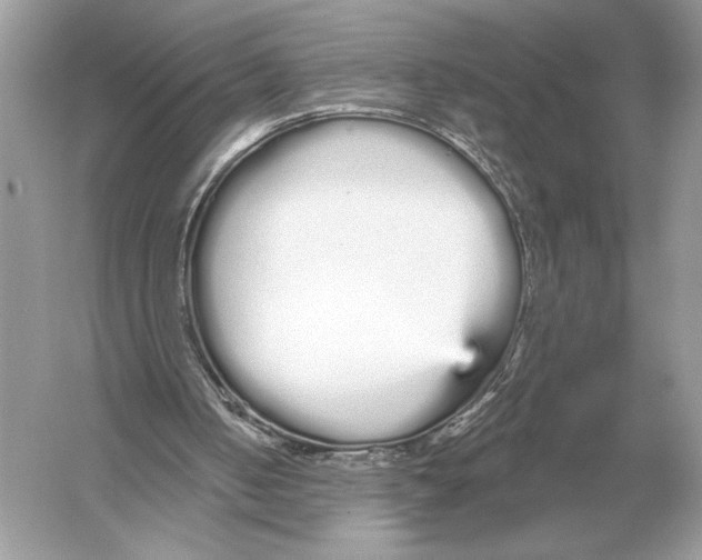 X0000051920050200507222145