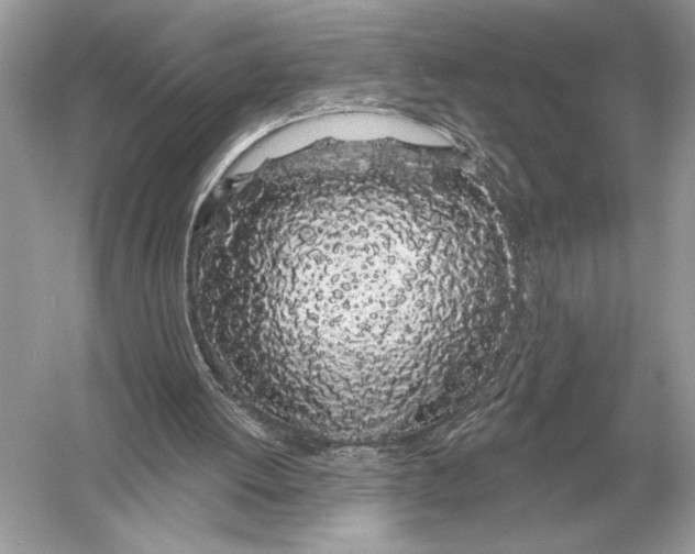 X0000051920052200507222145