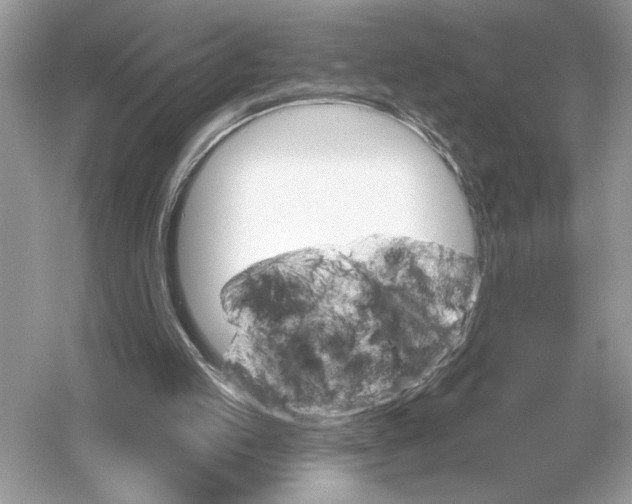 X0000051920053200507222145