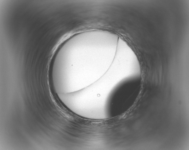 X0000051920054200507222145