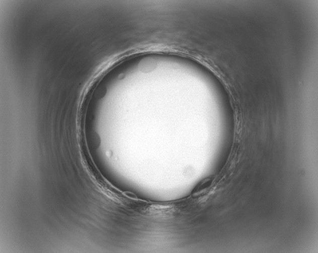 X0000051920055200507222145